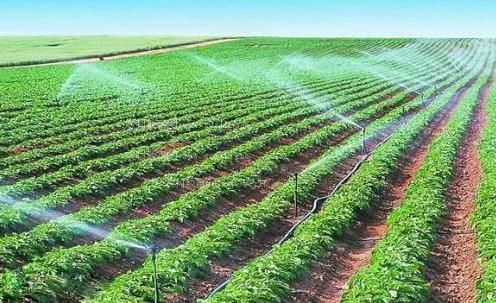 靠逼逼全裸簧片视频农田高 效节水灌溉
